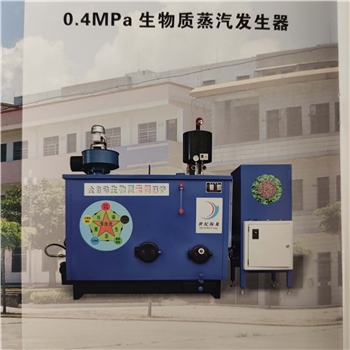 0.4Mpa 生物质蒸汽发生器